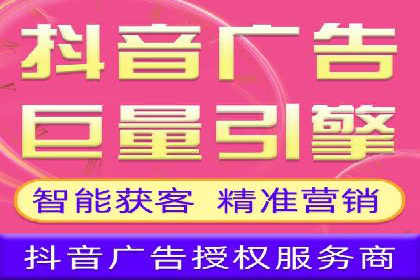 行业领先SEM托管代运营案例